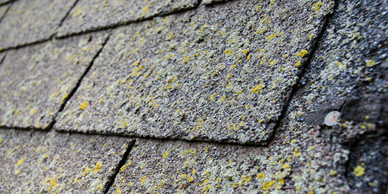 Why We Recommend Roof Cleaning